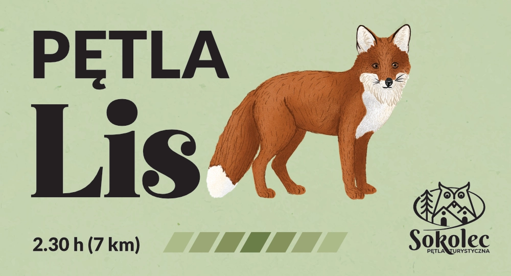 Pętla Lis