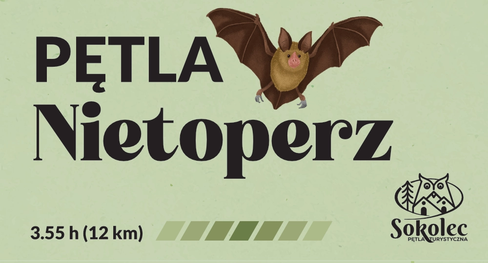 Pętla Nietoperz